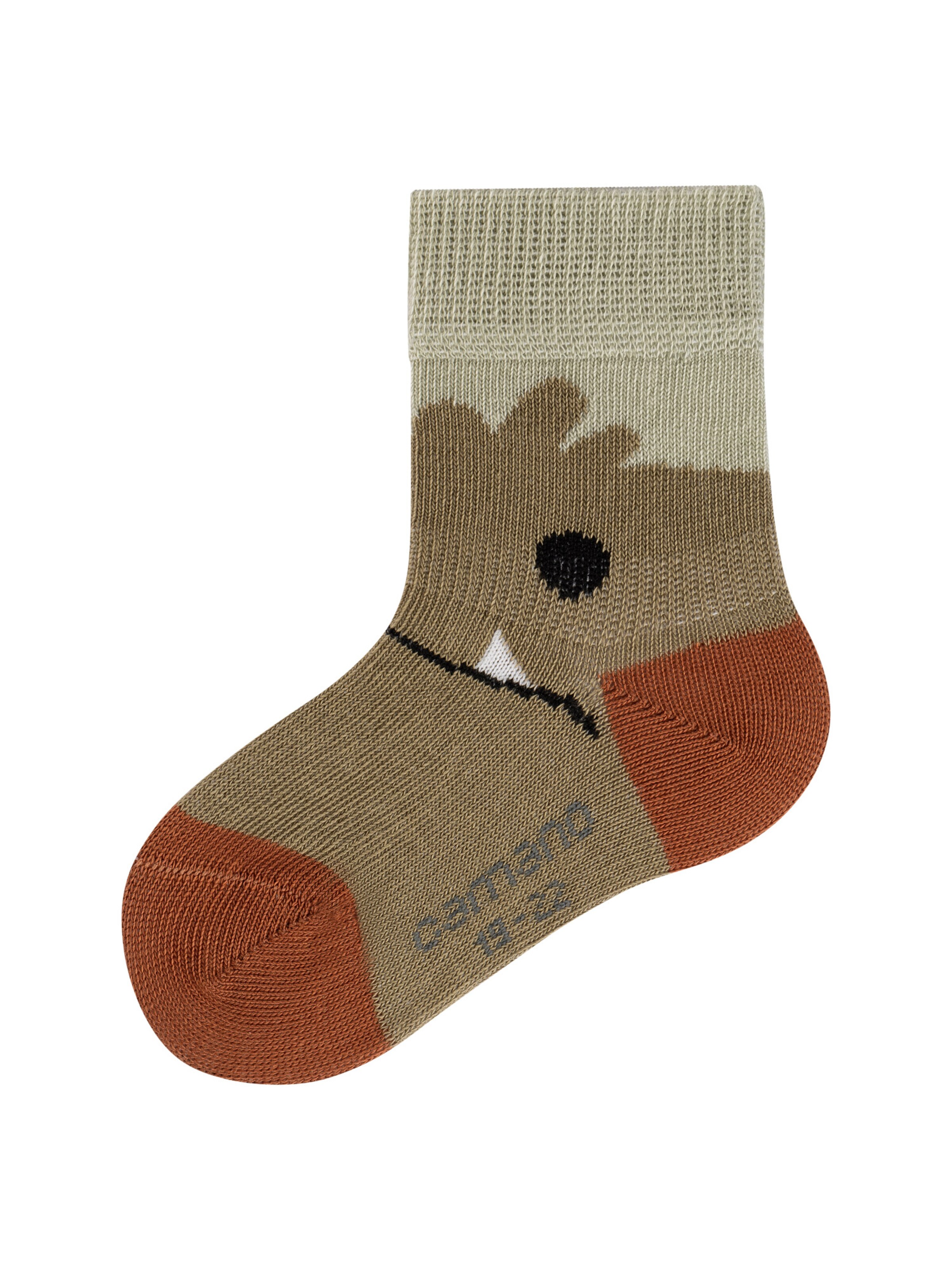 camano Socks in Mixed colors
