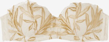 INTIMISSIMI Bandeau Bra 'Giola' in Beige: front