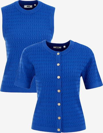 mėlyna WE Fashion Kardiganas: priekis
