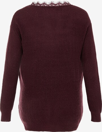 EVOKED Pullover 'VIFESTA' in Rot