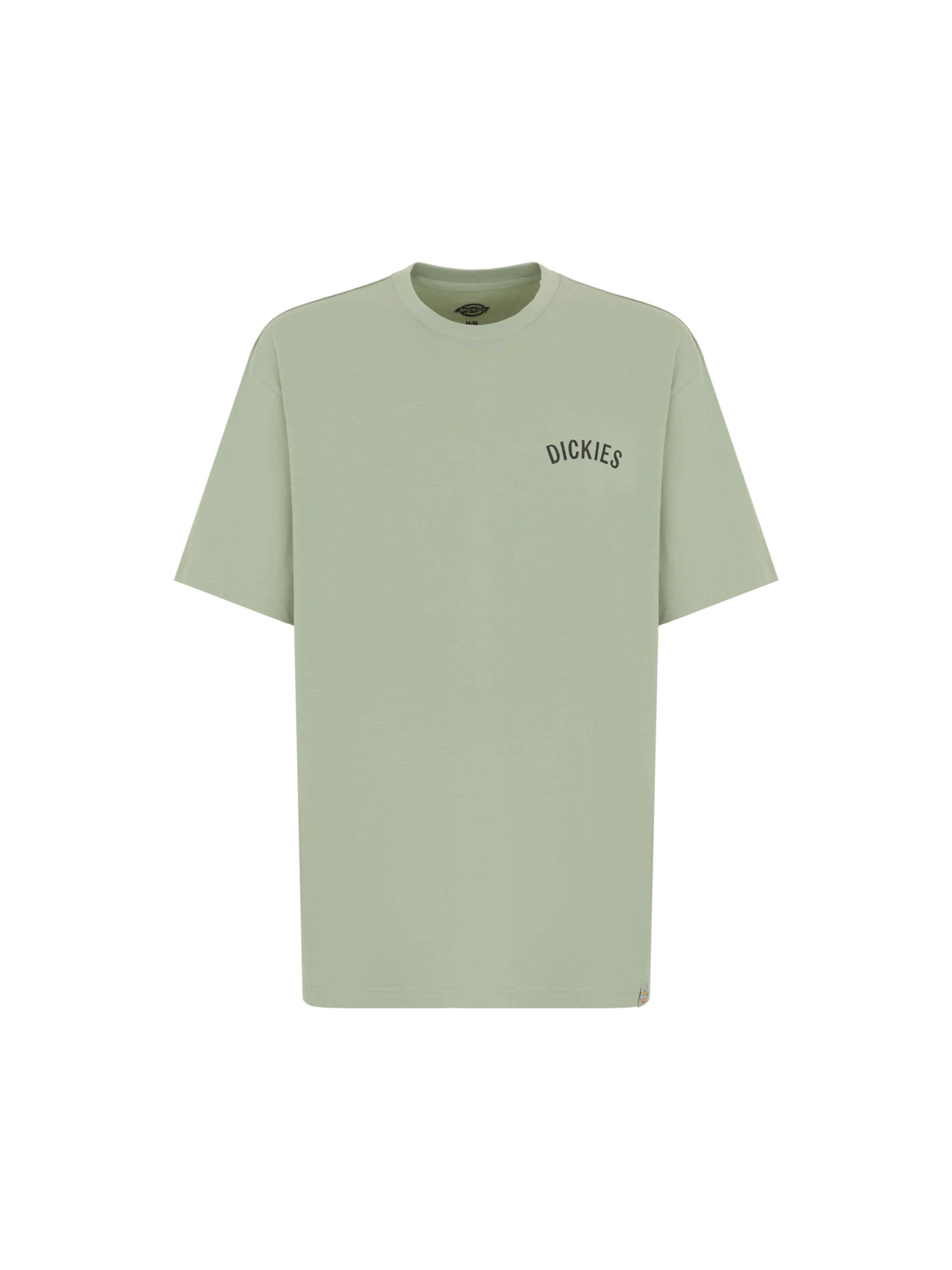 DICKIES Koszulka 'Snake' w kolorze zielony: przód