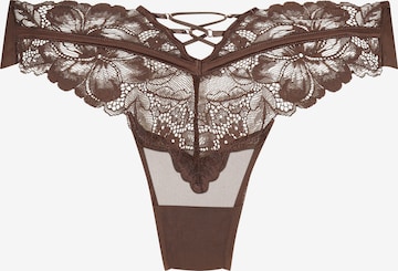 Hunkemöller Panty 'Patrice' in Brown: front