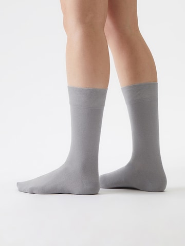 Von Jungfeld Socks 'Signature Innenbund' in Grey