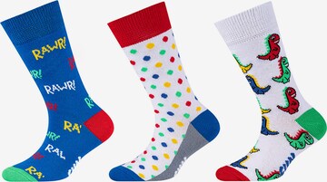 Chaussettes FUN Socks en mélange de couleurs : devant