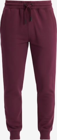 Ombre Regular Broek in Rood: voorkant