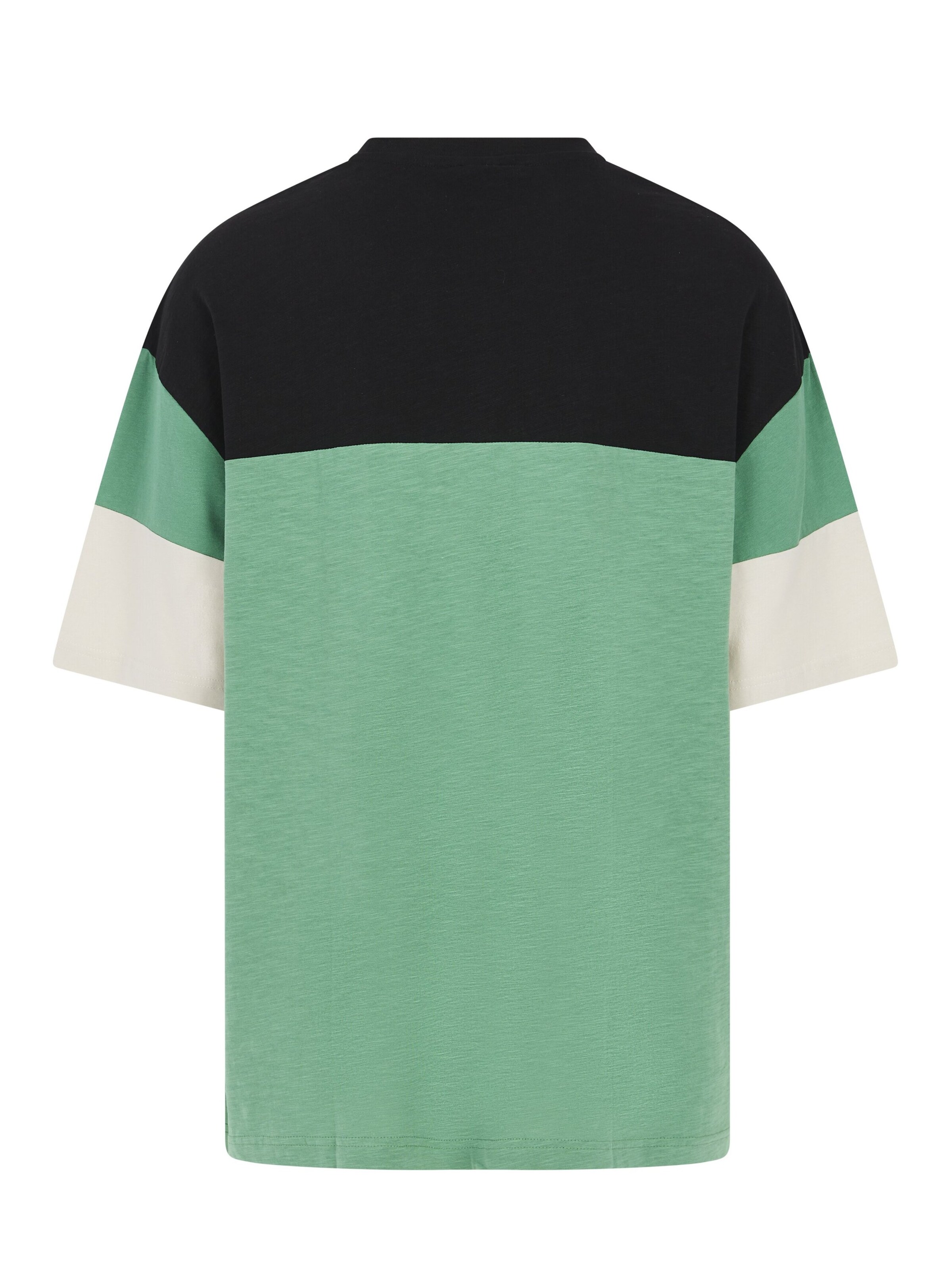 PROTEST Shirt 'PRTDuel'‌‌‌‌‌‌‌‌‌‌ in Grün