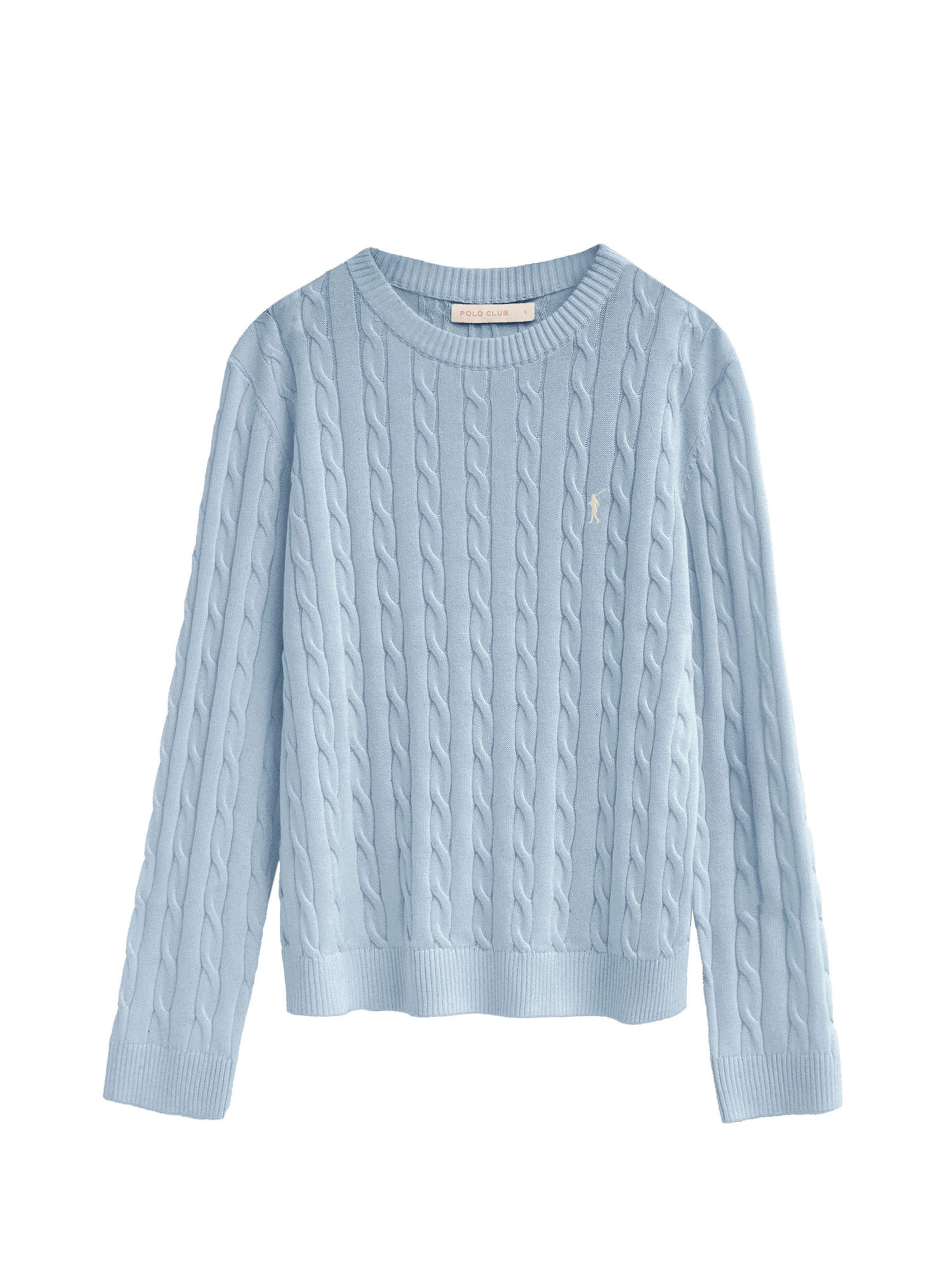 Polo Club Pullover 'RIGBY GO' in Blau: Vorderseite