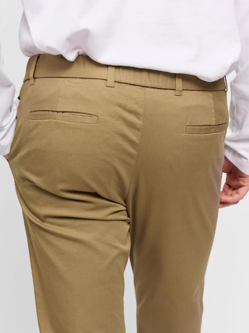 SANVT Regular Chinohose 'The Smart Chino'‌‌‌‌‌ in Grün