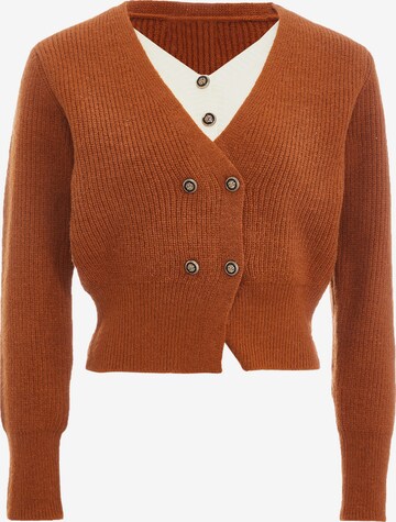 NALLY Knit Cardigan in Orange: front