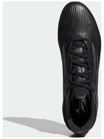 ADIDAS - Zapatillas de fútbol 'adidas Nocke F50 Club Fxg' en negro