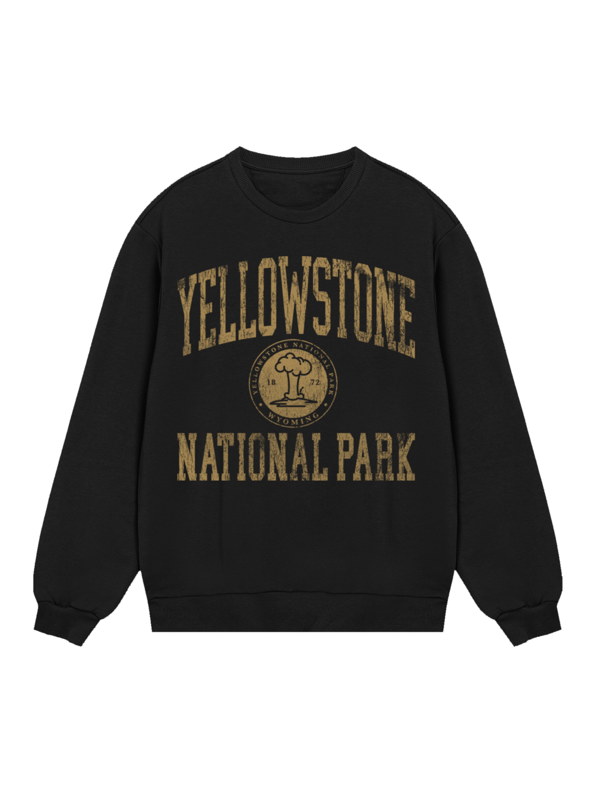 Sweat-shirt 'US National Parks Yellowstone Wyoming' F4NT4STIC en noir : devant