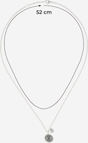 TOMMY HILFIGER Necklace in Silver