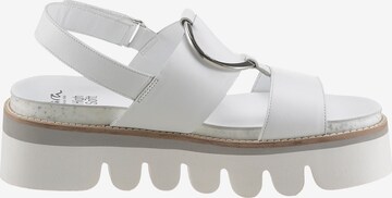 ARA Strap Sandals in White