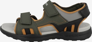 GEOX Sandals & Slippers 'J VANIETT B. B' in Green