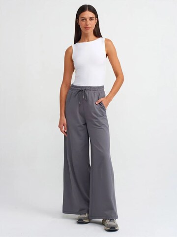 Dilvin Wide leg Pants 'Hose' in Grey: front