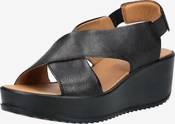 Sandalo di IGI&CO in nero: frontale
