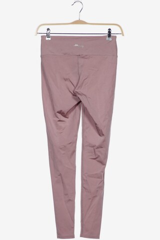 Hey Honey Pants in XL in Pink