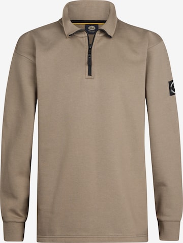 Petrol Industries Sweater in Brown: front