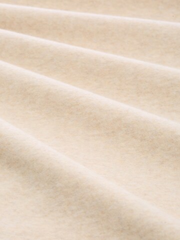 TOM TAILOR Sweatshirt in Beige