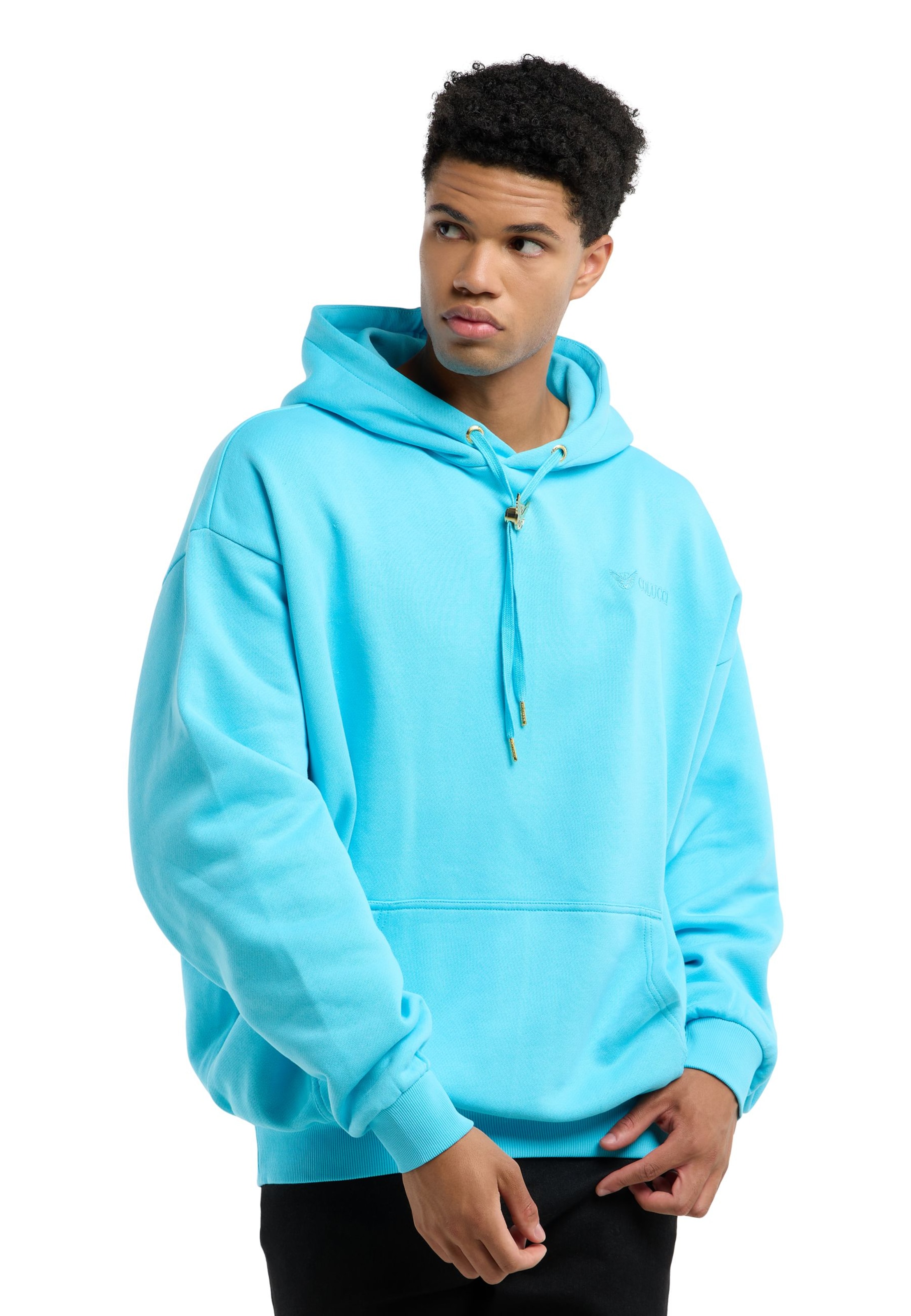 Colucci Sweatshirt in Green: front