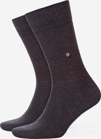 BURLINGTON Socks in Grey: front