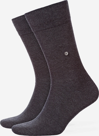 BURLINGTON Socks in Grey: front