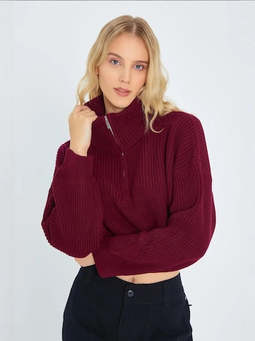 Pullover 'Pullover' di MixRay in rosso