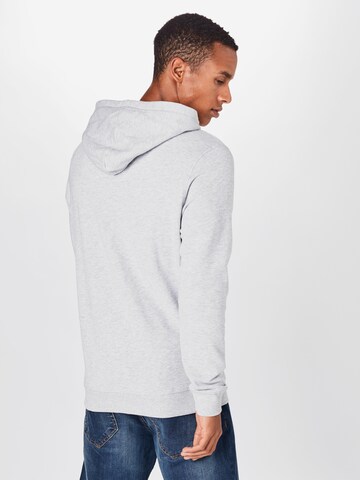 TOM TAILOR Sweatshirt in Grau