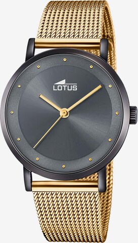 Lotus Analog Watch in Gold: front