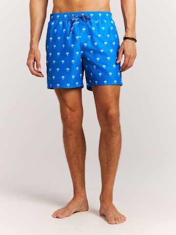 PROTEST Board Shorts 'PRTMascot' in Blue