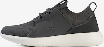 Baskets basses 'Alonzo' Spyder en gris : devant