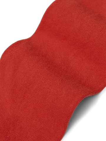 Von Jungfeld Socks 'Colour' in Red