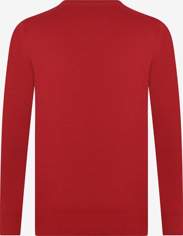 DENIM CULTURE Pullover 'Leroy' i rød