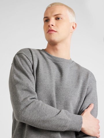 Felpa 'RDDAndy' di R.D.D. ROYAL DENIM DIVISION in grigio