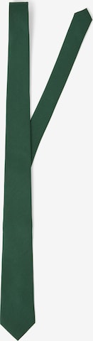 Andrew James Krawatte in Grün: Vorderseite