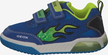 GEOX Sneakers 'Inek' in Blue