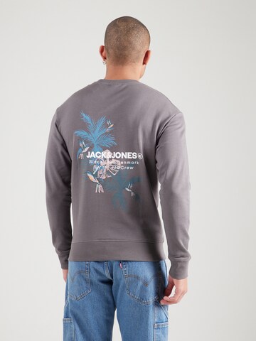 Felpa 'JJHAWAII' di JACK & JONES in grigio: frontale