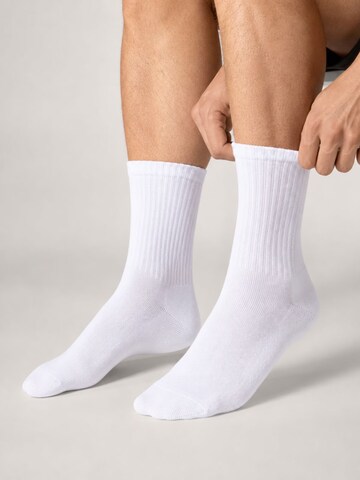 sockenkauf24 Athletic Socks in White