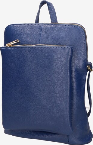 Gave Lux Backpack in Blue: front