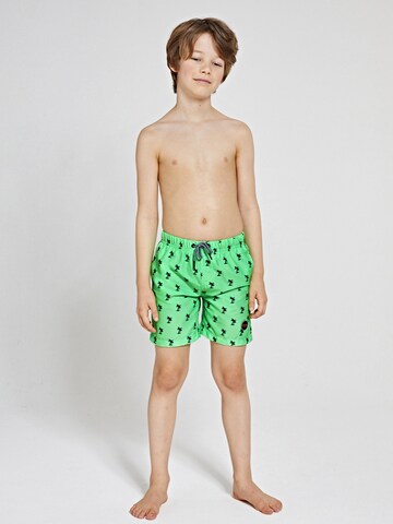 Shiwi Board Shorts in Green