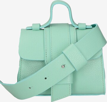 Gave Lux Handbag in Green: front