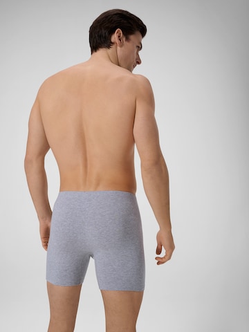 Boxers ' Close To You ' Ammann en gris