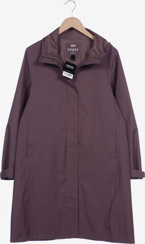 UNIQLO Jacket & Coat in L in Brown: front