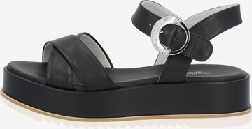 Nero Giardini Strap Sandals 'E410740D' in Black