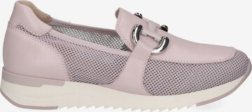 CAPRICE Slipper in Lila