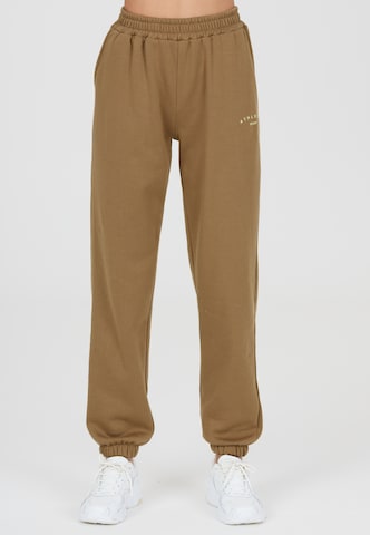 Athlecia Regular Workout Pants 'Asport' in Brown: front