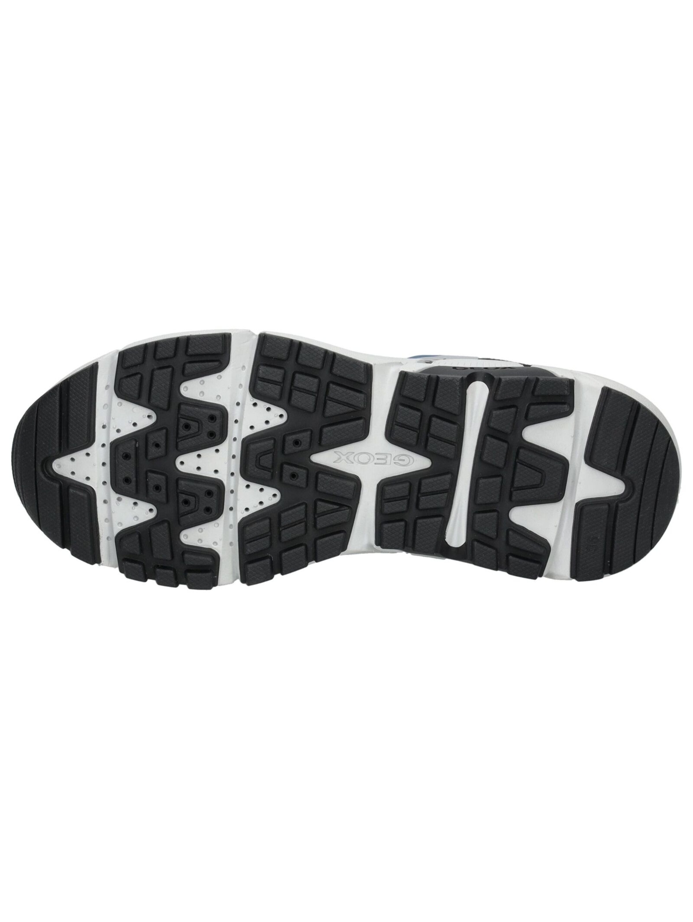 GEOX Sneakers in Blauw