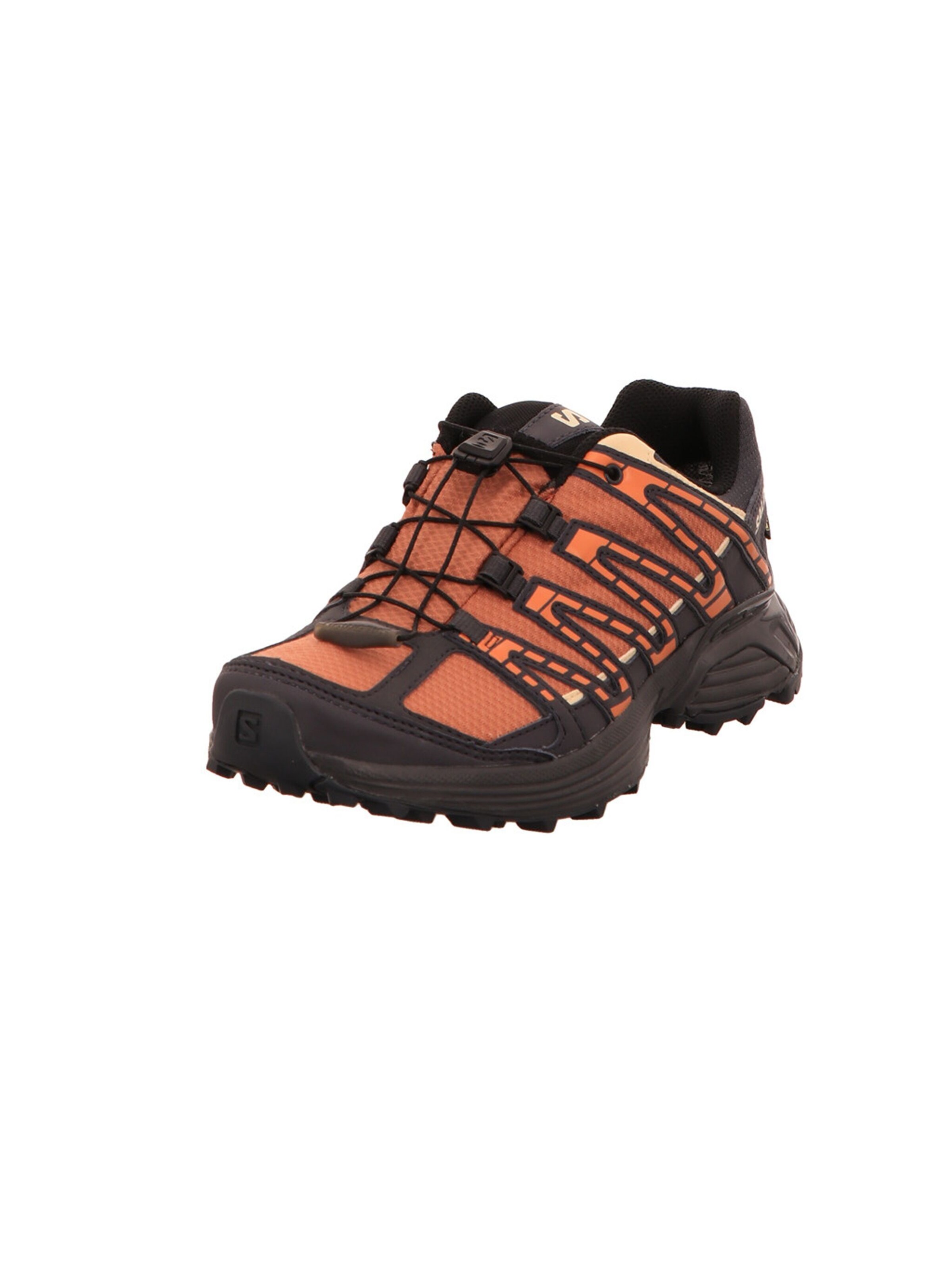 SALOMON Flats 'XT RECKON GTX' in Brown: front