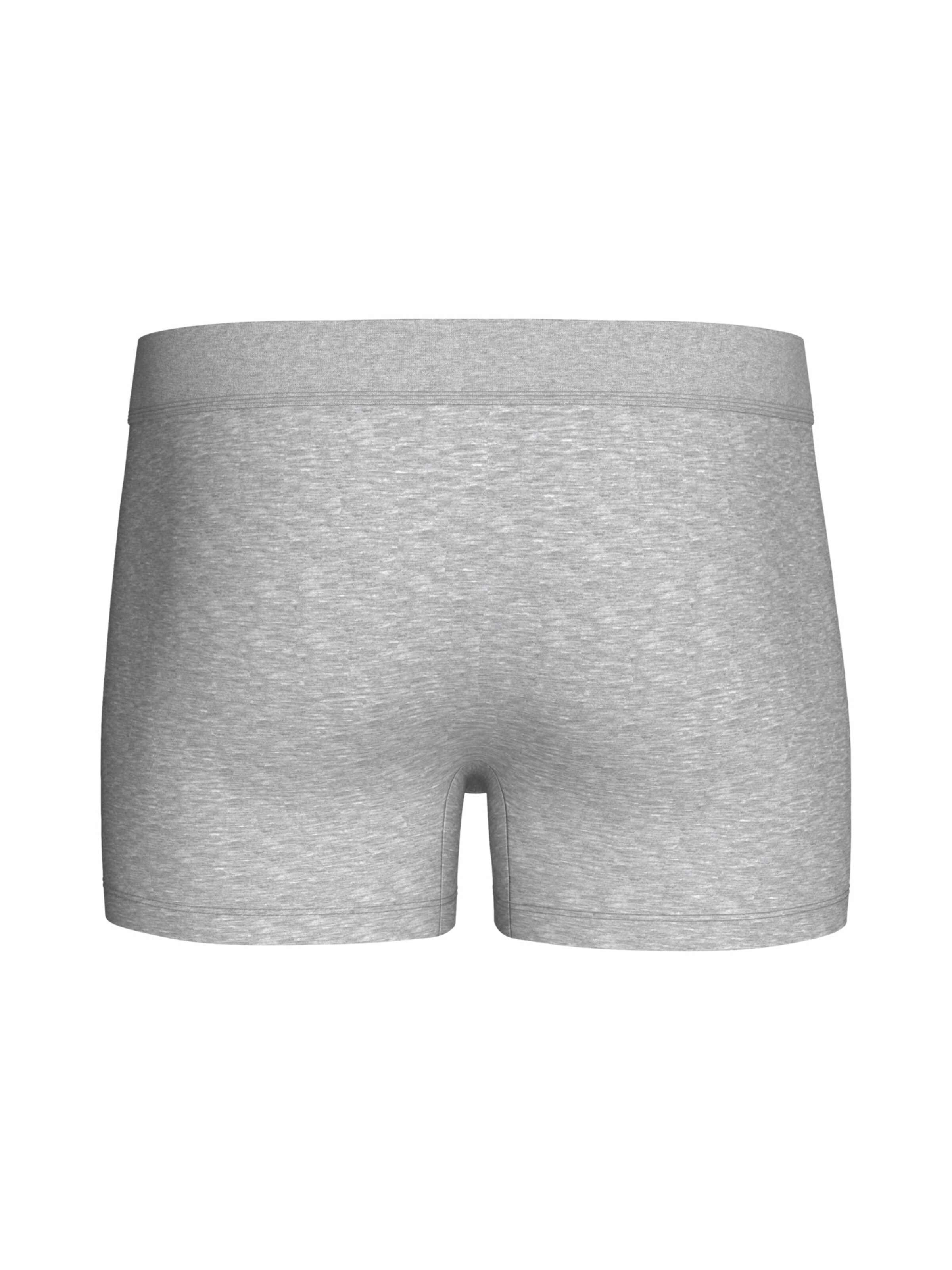 Boxers IMPETUS en gris