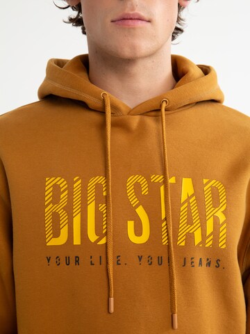 Felpa di BIG STAR in marrone